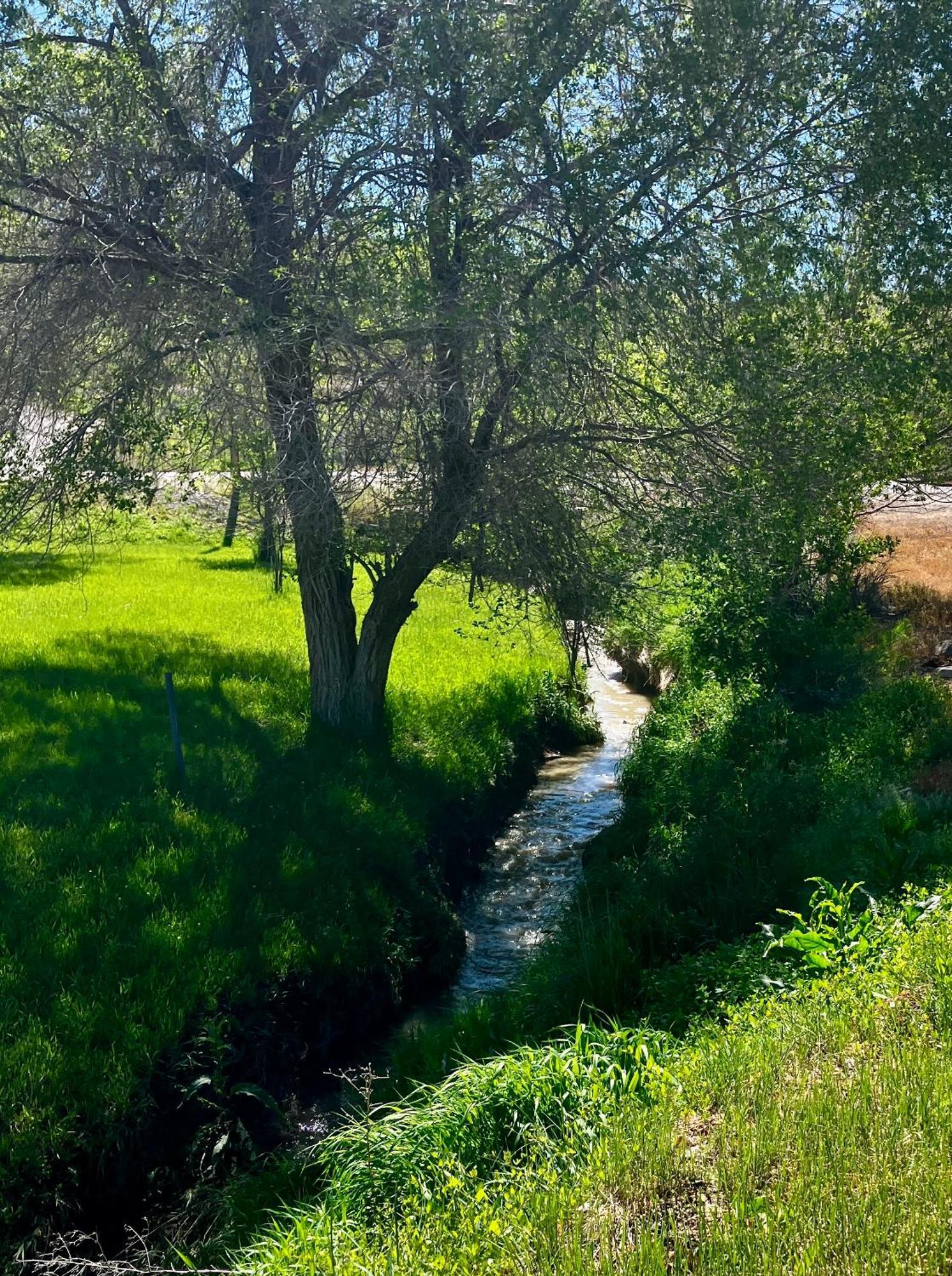 Let'S Go ! Fisherman, Families, Pools One Minute From Your Door, Comfort, Location Perfect, Amenity-Rich, Pup Friendly, Discover An Exceptional Wyoming Stay, Thermopolis River Walk Home At Hot Springs State Park, 'Where Families And Fisherman Stay' Eksteriør bilde